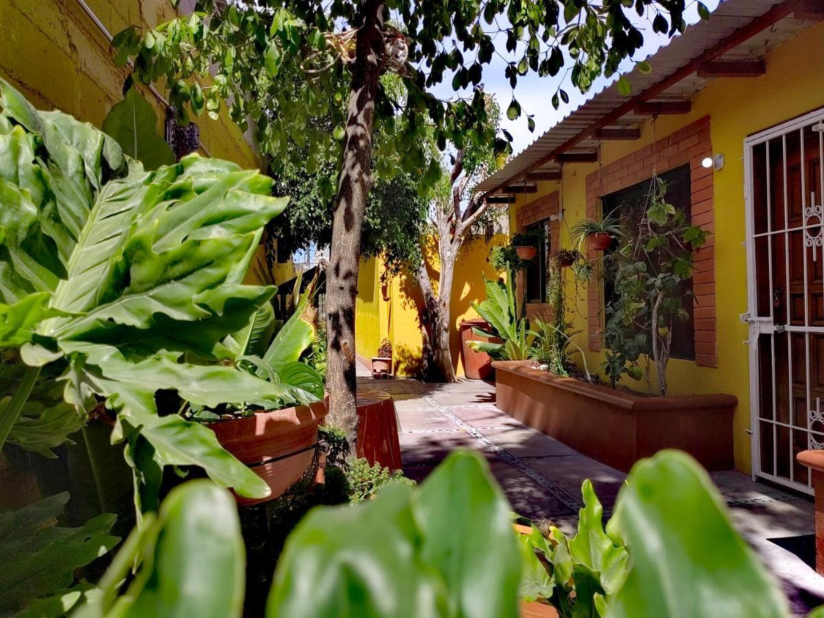 Casa Caracoles Appartement La Paz Buitenkant foto